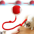 🔴 Viral Smart Rolling Ball - Interactive Self-Moving Cat Toy 🐱