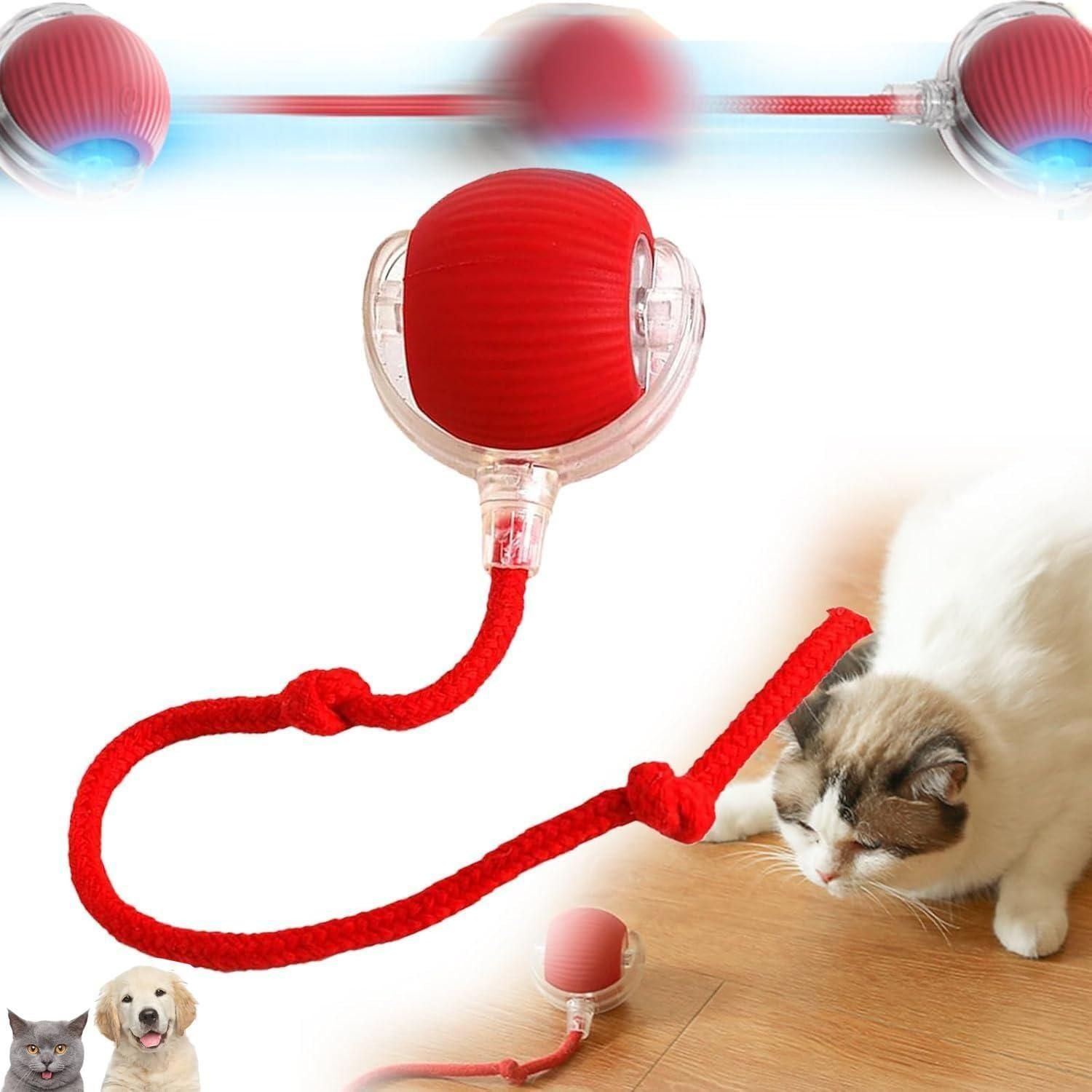 🔴 Viral Smart Rolling Ball - Interactive Self-Moving Cat Toy 🐱