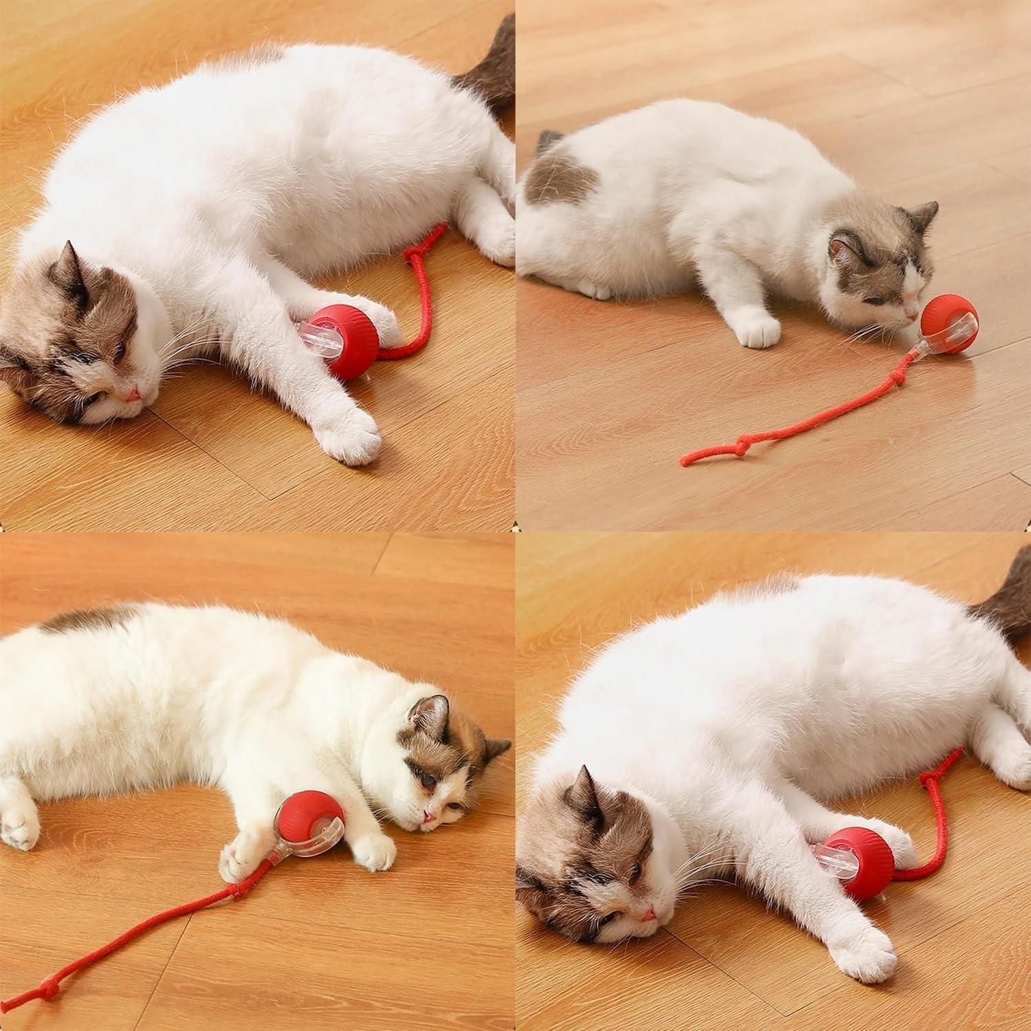 🔴 Viral Smart Rolling Ball - Interactive Self-Moving Cat Toy 🐱